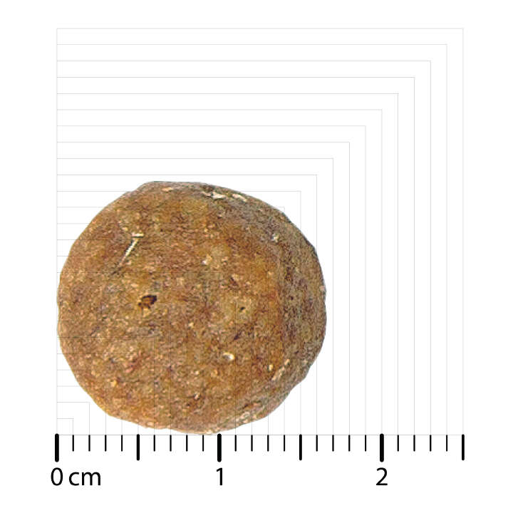 BOZITA Hunde-Trockenfutter Original Adult Sensitive Lachs